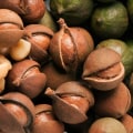 How long does it take to grow a macadamia nut?
